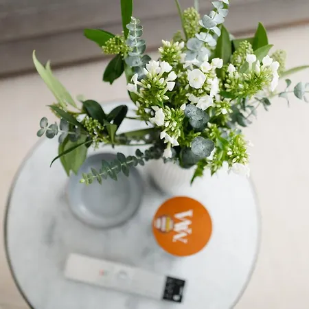 Penthouse Nordernice *