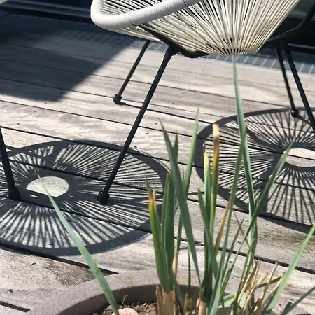 Penthouse Nordernice Apartment *