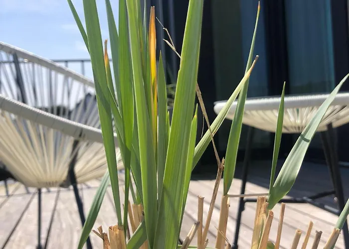 Penthouse Nordernice Norderney